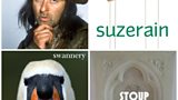 The Friday Feltz Phililogical Challenge