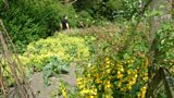 Beatrix Potter’s Hilltop Garden