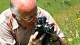 DAVID LANG :: ORCHID EXPERT
