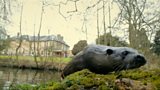 Otters return to waterways