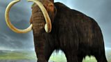 Woolly Mammoth