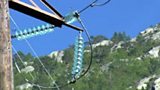 Controversial Power Line Project
