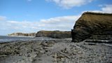Kilve Oil Shale