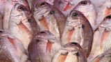 European fishing agreement