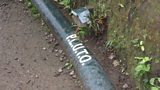PLUTO pipelines