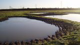 Million Ponds Project