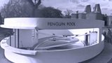 The Lubetkin Penguin Pool