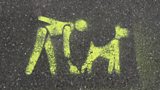 What can the people of Markyate do to tackle their dog poo problem?