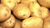 Northern Ireland Potato Festival