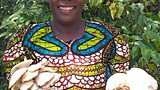 Forests and Mushroom Farming