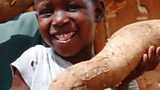 Healthy Harvests