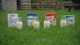 Cow's milk or growing up milk?