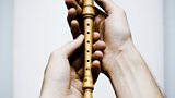 Recorder used by Erik Bosgraaf