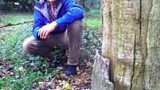 Foraging fears