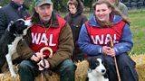 Team Wales