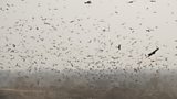 Ghaziabad Landfill Site in New Delhi