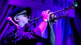 Linley Hamilton Interviews Randy Brecker