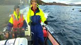 Fish farming