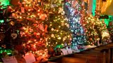 Articlave Christmas Tree Festival