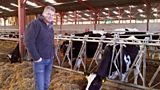 A milk bonanza?