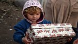 Surrey Shoebox