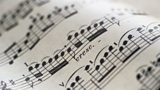 'My Song'