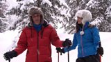 Snow Shoeing