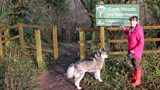 Whitleigh Big Local