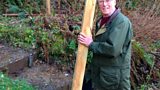 Woodland furniture