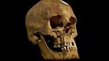 The battle for King Richard III's bones