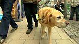 Hate crimes against blind people