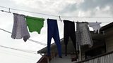 Underwear