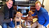 A dog’s dinner
