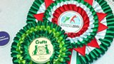 1005 Rosettes for Crufts