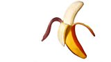 1105 The best way to peel a banana