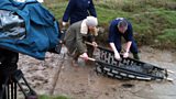 Seal rescue