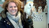Grass Fires, Library Cuts and Owls