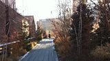 Anna Magnusson at The Highline park in New York