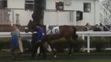 Alan Pickering's horse, Whitby Jet.