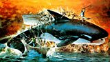 Orca - The Killer Whale