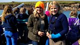 Scilly seabirds