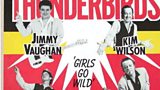 The Fabulous Thunderbirds