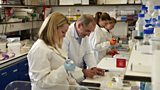 Medical Research funded by the British Heart Foundation