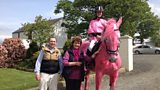The Pink Horse of the North