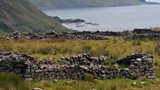 Shiaba, An Ros Mhuileach