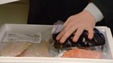 Fishboxes