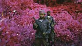 Richard Mosse