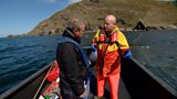 Seal Shooting