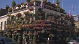 London Pub garden featured