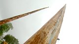 Climbing Poles